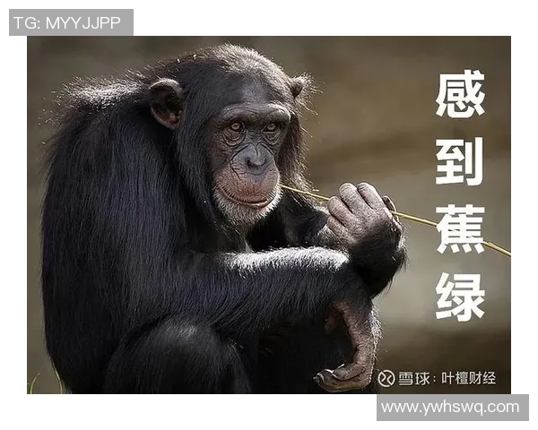 控制科隆运输:政治阴谋下的权力角力和利益博弈 控制科隆运输:政治阴谋下的权力角力和利益博弈