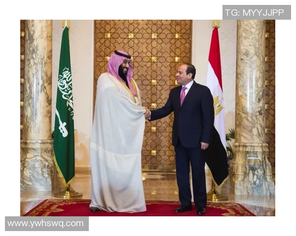 沙特与埃及精彩对决视频直播全程回顾与分析