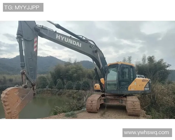 现代215Vs跑表技巧与实用经验分享，助你轻松掌握驾驶节奏与性能优化